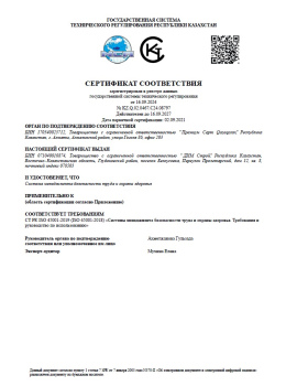 Система менеджмента безопасности труда и охраны здоровья
